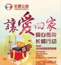 數字時代的基石 光纖寬帶、網絡維護與布線及平面設計的協同作用